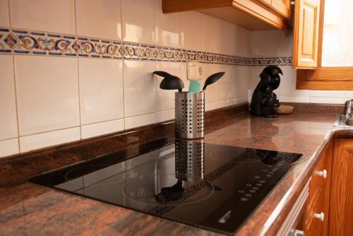 a kitchen counter with a sink with a utensil holder at Castle House Xativa in Xàtiva