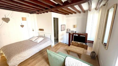 a bedroom with a bed and a tv at Le Duplex du Pont in Auxerre