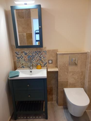 a bathroom with a sink and a toilet and a mirror at Chez Sophie, au calme, climatisé, proche d'Aix-les-bains in Grésy-sur-Aix