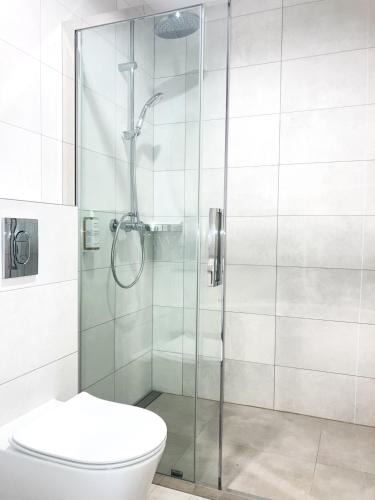 a shower stall in a bathroom with a toilet at Apartamenty przy Starym Basenie in Sobótka