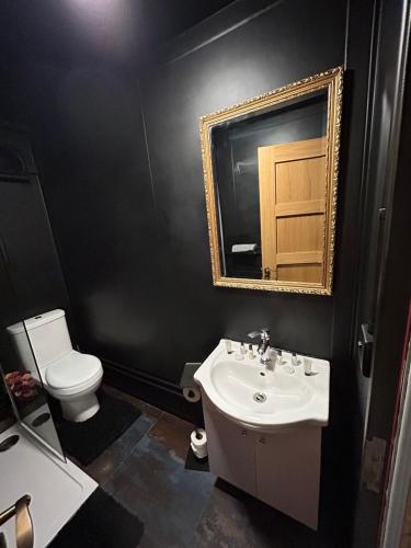 a bathroom with a sink and a toilet and a mirror at Cozy log cabin in Edenderry
