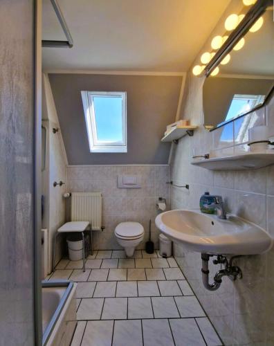a bathroom with a sink and a toilet at Haegerende _Seitensprung_ in Groß Kirr
