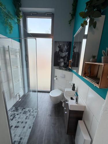 a bathroom with a shower and a toilet and a sink at Wohnglück Alte Werft Leer in Leerort