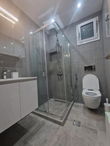 a bathroom with a shower and a toilet at Viktoria Sea View Apartment in Perea
