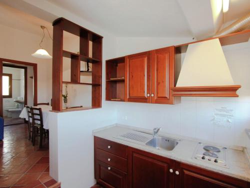 a kitchen with wooden cabinets and a sink at Comfortable home with terrace, located in nature in Salecchio