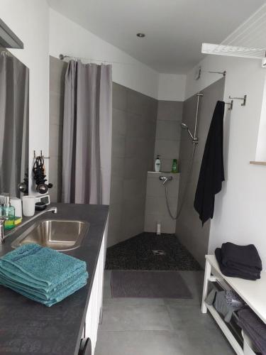 a bathroom with a sink and a shower at Schäferwagen Gartenblick Nr 4 in Radebeul