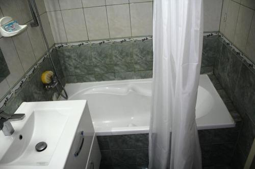 a bathroom with a tub and a shower curtain at decebal premium apartment in Bucharest