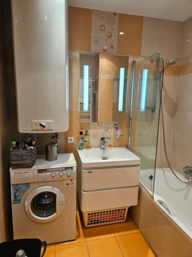 a bathroom with a sink and a washing machine at Olé in Zlatá Olešnice