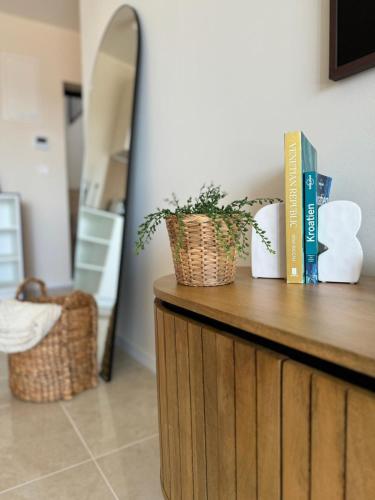 a counter with books and plants on top of it at Starview in Privlaka