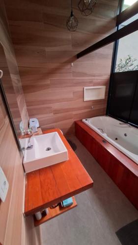 a bathroom with a white sink and a tub at Loft com piscina, sauna e hidro in Niterói