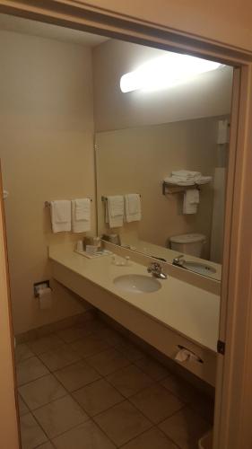 a bathroom with a sink and a large mirror at The Rutledge Inn in Luverne