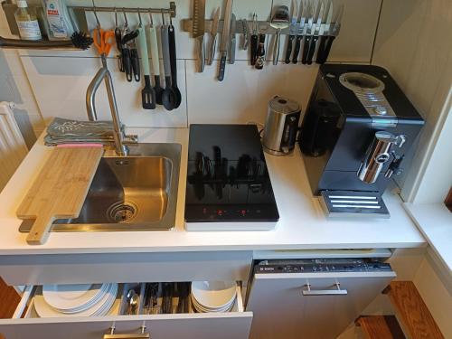 a kitchen with a sink and a counter with utensils at KNUS tiny gardenhouse in Doorn