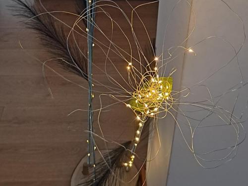 a bunch of string lights hanging from a wall at Chez Louise: onde a Serra beija o Céu in Lousã