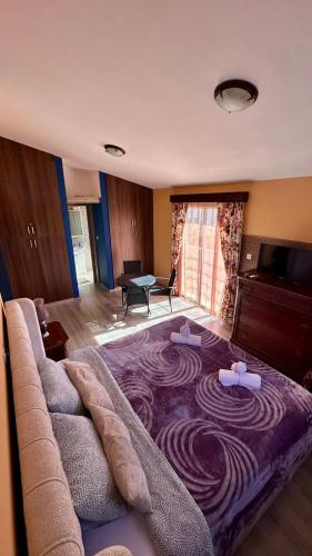 a living room with a couch with a large rug at Michael Angelo Luxuri Villa 4 bedroom in Paphos