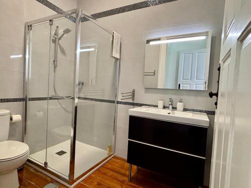 a bathroom with a shower and a sink and a toilet at Pombeiro Apartments in Porto