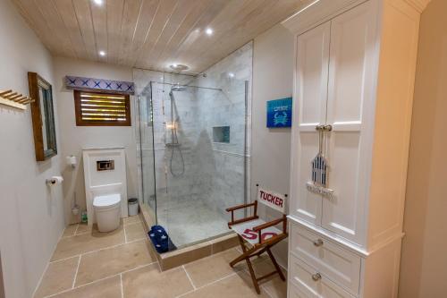 a bathroom with a shower and a toilet at Tuckers Villa in Cobbs Cross