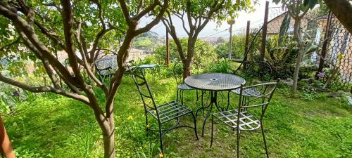 une table et des chaises dans un jardin avec un arbre dans l'établissement Belvédère, à Menton