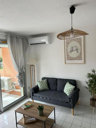 Appartement 2 chambres acces mer et piscine THETYS MARSEILLAN PLAGE