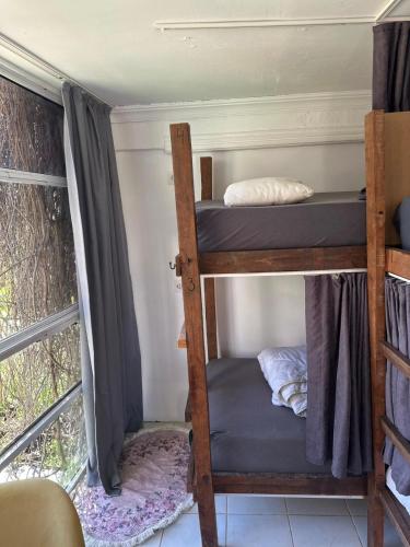 Bunk Bed in Mixed Dormitory Room