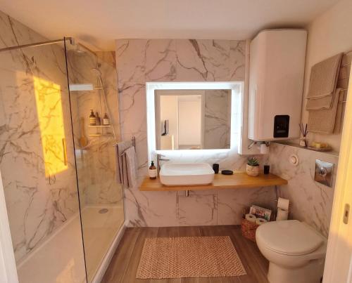 a bathroom with a shower and a toilet and a sink at Studio Les Allées in LʼÎle-Rousse