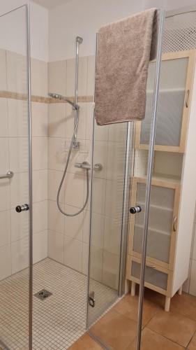 a shower with a glass door in a bathroom at Ferienhaus Weidblick in Westerstede