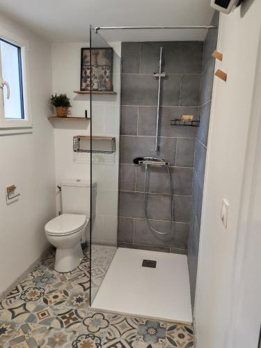 a bathroom with a shower and a toilet at Roger's appartement in Larrivière