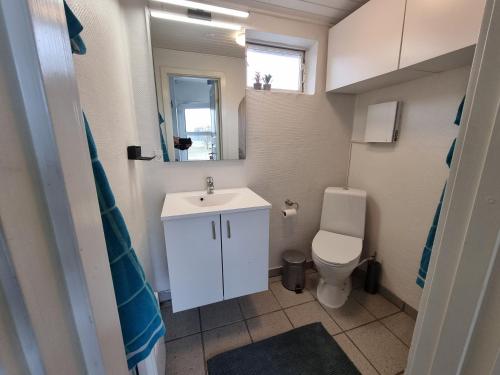 a small bathroom with a sink and a toilet at Det lille hus in Viborg