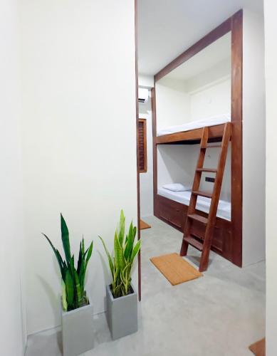 a bedroom with a bunk bed and potted plants at Trinco Beach Bunks in Trincomalee