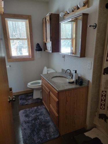 a bathroom with a sink and a toilet at BearAss Lodge in Hayward