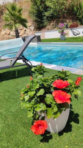 Villa Les Cigales pour 8 personnes max avec piscine et spa à 20 min de la mer