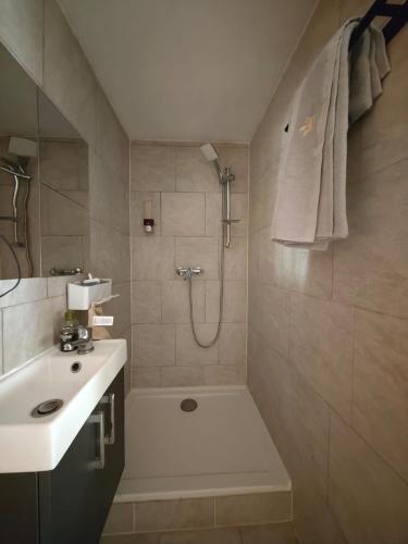 a bathroom with a shower and a sink at Arcoiris in Seifhennersdorf