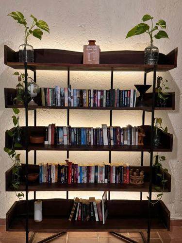 a book shelf filled with books and dvds at Hotel Casa Colibri in Playa del Carmen