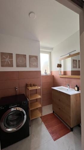 a bathroom with a washing machine and a sink at Chez F & G terrasse privée dans jardin - parking in Sélestat