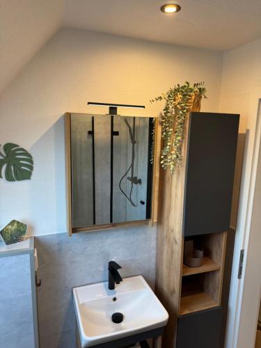 a bathroom with a sink and a mirror at Seequartier Borken in Borken