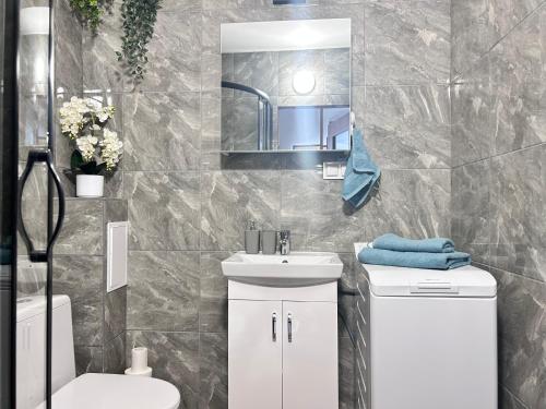 a bathroom with a sink and a toilet and a mirror at Sunset Studio in Kwidzyn