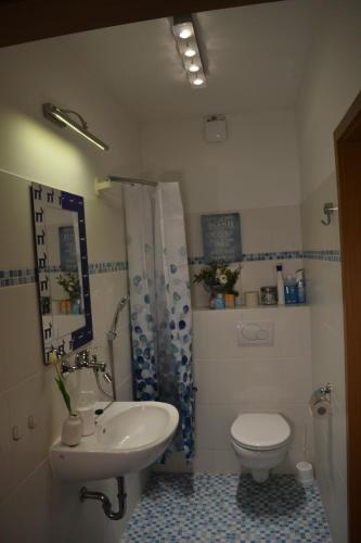 a bathroom with a sink and a toilet and a shower at Hei un Urlaub in Neu Damerow