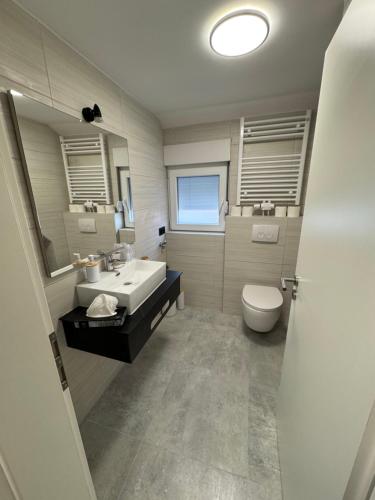 a bathroom with a sink and a toilet and a mirror at Apartments Rosenstraße in Soltau