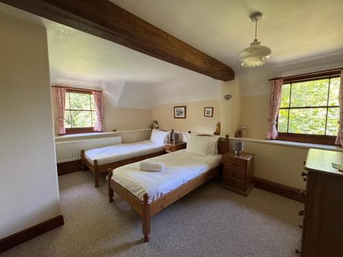 a bedroom with two beds and two windows at Honey Meadow Retreat in Ashreigney