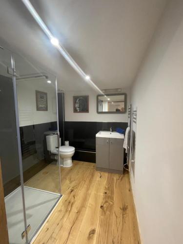 a bathroom with a shower and a toilet and a sink at Honey Meadow Retreat in Ashreigney