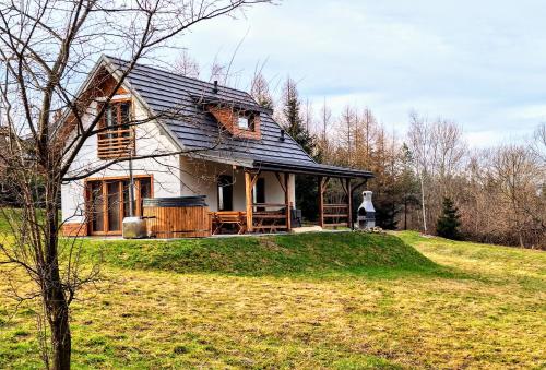 a house on top of a hill in a field at Leśna Chata domek z balią in Sękowa