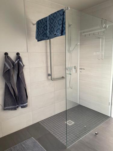 a shower stall with a glass door in a bathroom at Ferienwohnung Zum Preußensteig I max 3 Gäste in Pfeffelbach