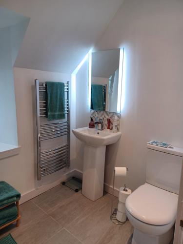 a white bathroom with a sink and a toilet at Hillview in Daliburgh
