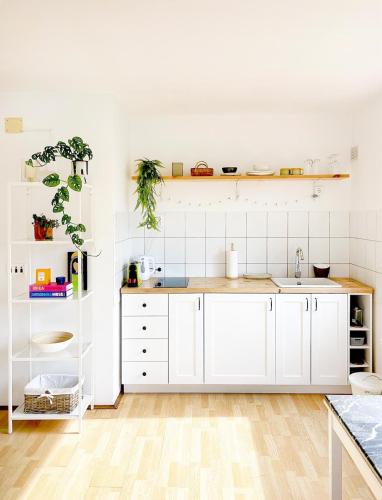 Bright apartment Milda
