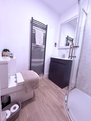 a bathroom with a shower and a toilet and a sink at Family,Cosy 2 Bedroom Apartment with Garden Close to Town, Seafront, Hospital, Free Parking in Eastbourne