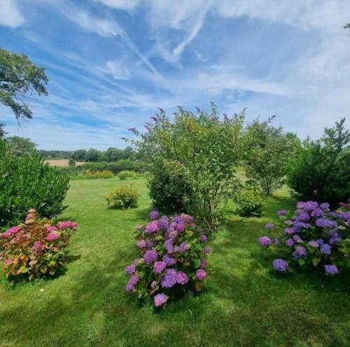 un jardin avec des fleurs violettes dans l'herbe dans l'établissement Parfumsdespeintres, à Villard