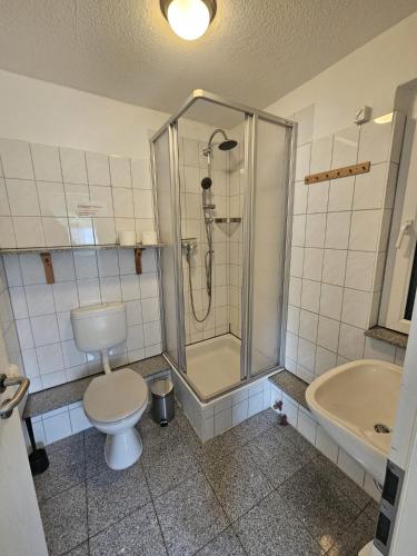 a bathroom with a shower and a toilet and a sink at Haus am Waldesrand in Wustrow