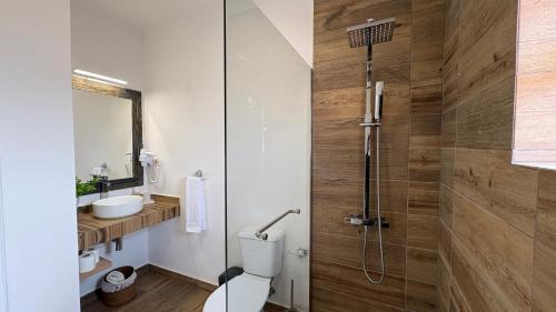 a bathroom with a shower and a toilet and a sink at Monte Rio House in Luz