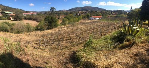 Un campo cultivado con un pueblo al fondo en Looking Samaipata, en Samaipata