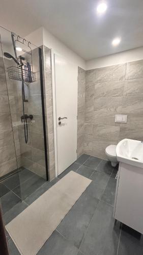 a bathroom with a shower and a toilet and a sink at Wooden Bridge Residence in Karlovy Vary