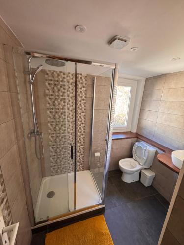 a bathroom with a shower and a toilet at Nash Apartment in Saint-Jean-d'Aulps